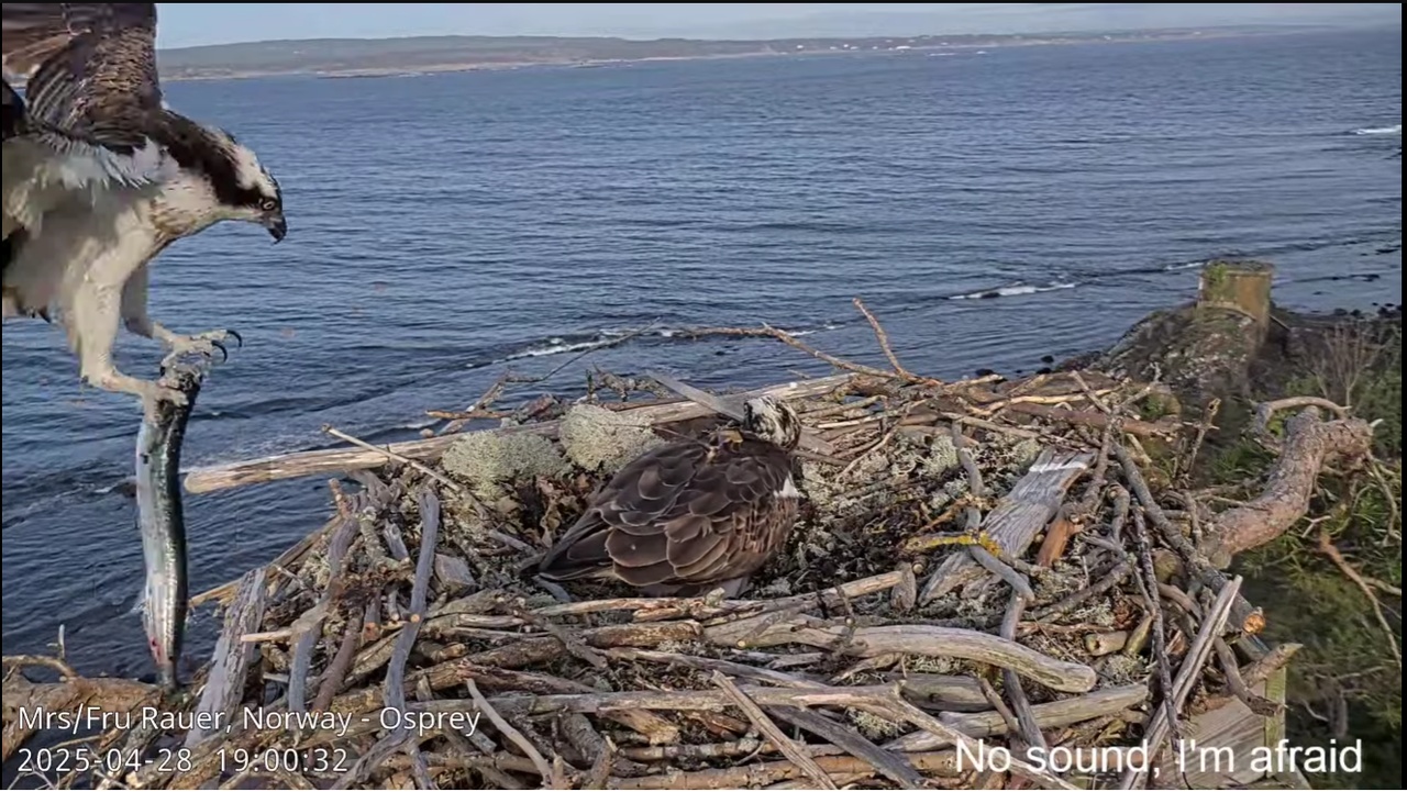 Ekrānuzņēmums 2025-04-28 221426