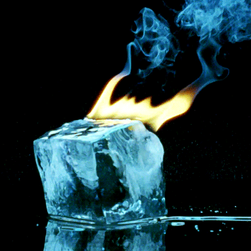 IMG-9234.gif