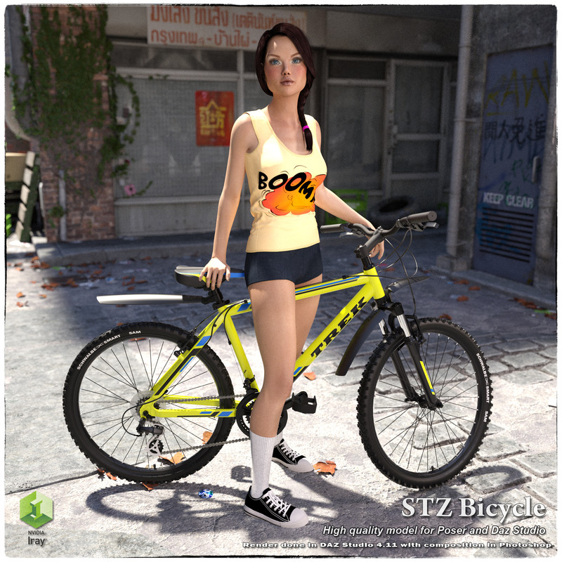 STZ Bicycle