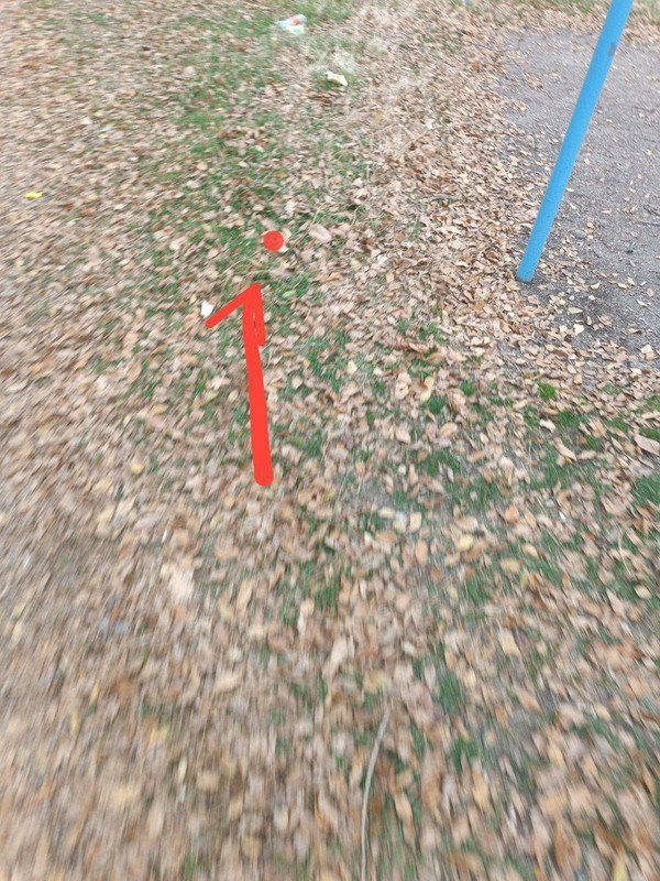 799ebff5317f96570a5493f418ac179f