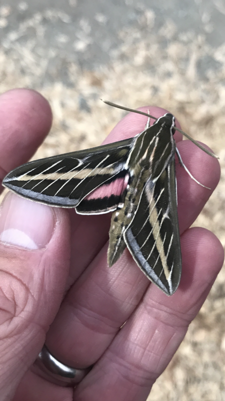 ACF5E84F-3D1F-455A-BF61-5C4CC1B12BF0