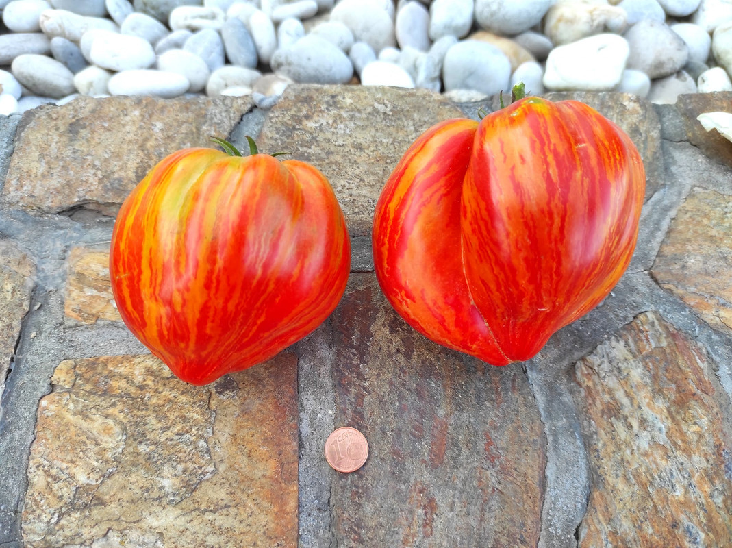 459217751_8249822535063373_5080936995084740081_n