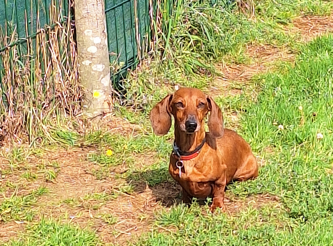 [Image: 20240910-113630.jpg]