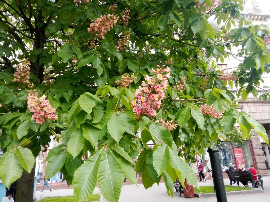 photo_2025-05-01 7.34.36 пп