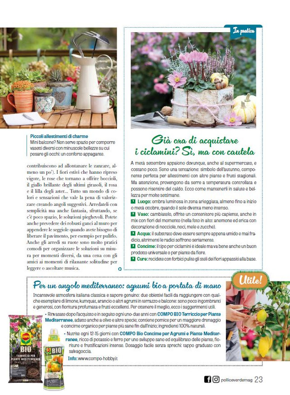 Pol Ver Set 2024 (4)