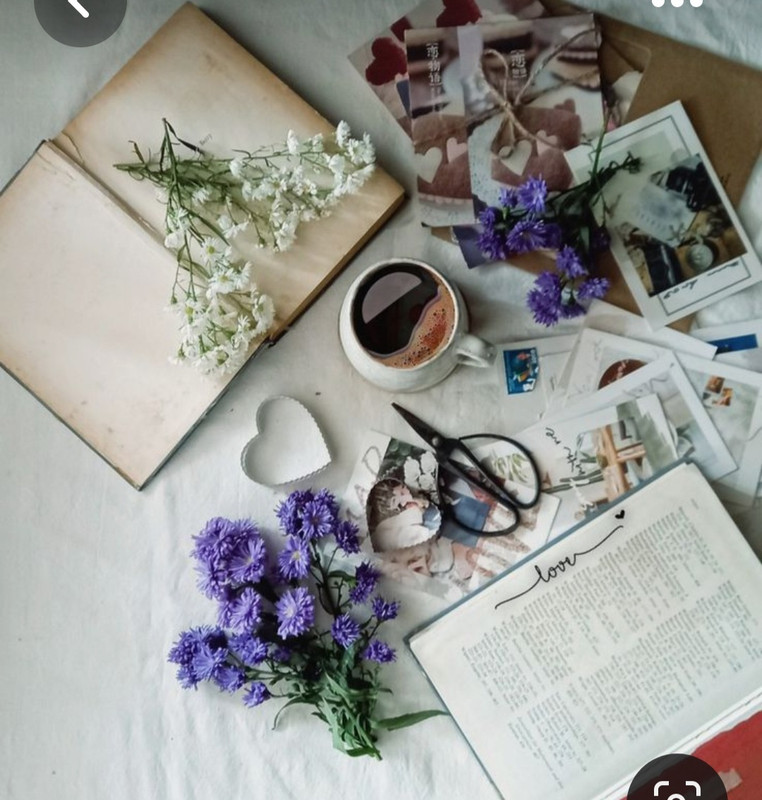 Screenshot_20230616_141316_Pinterest