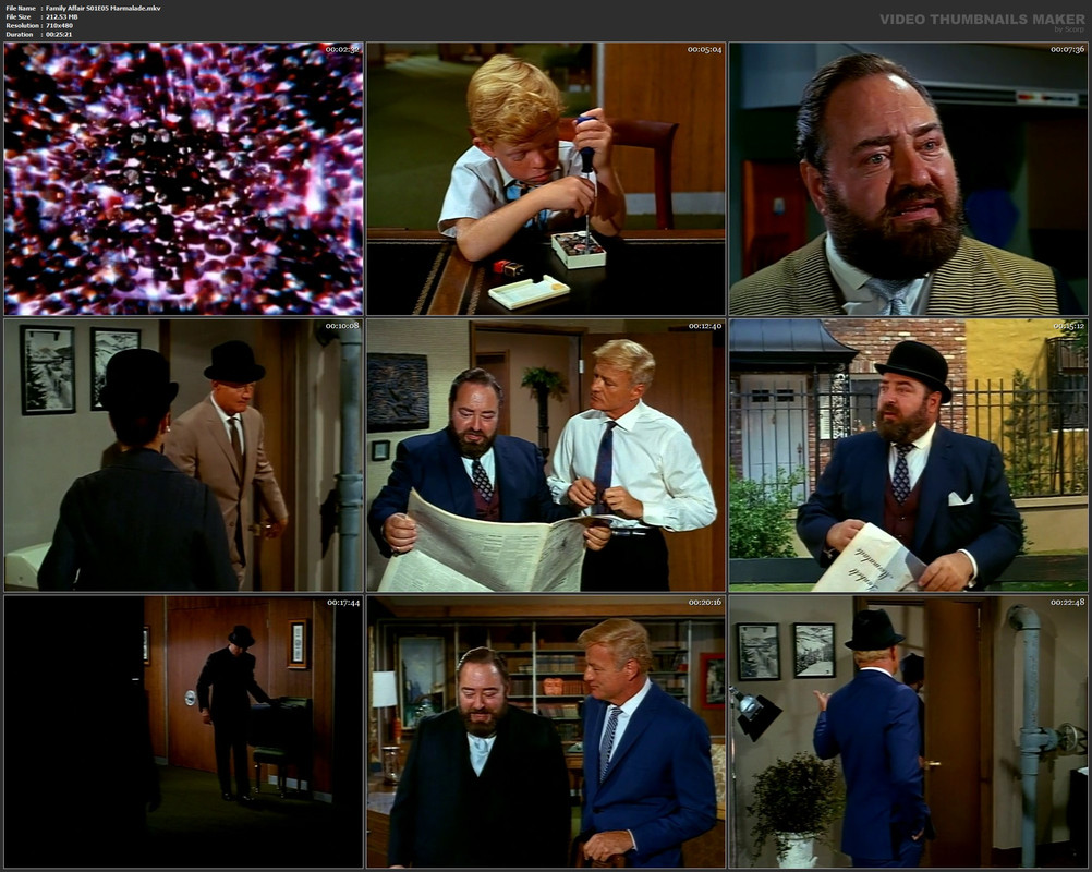 Family Affair S01E05 Marmalade.mkv