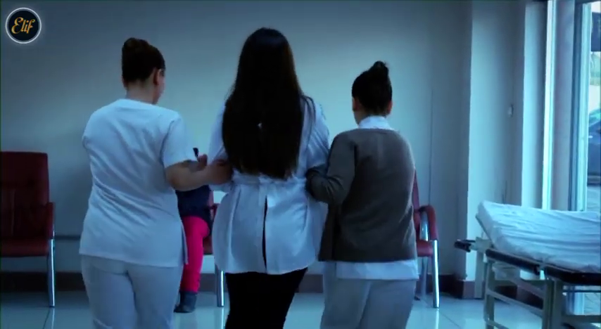 Elif 299 (4)