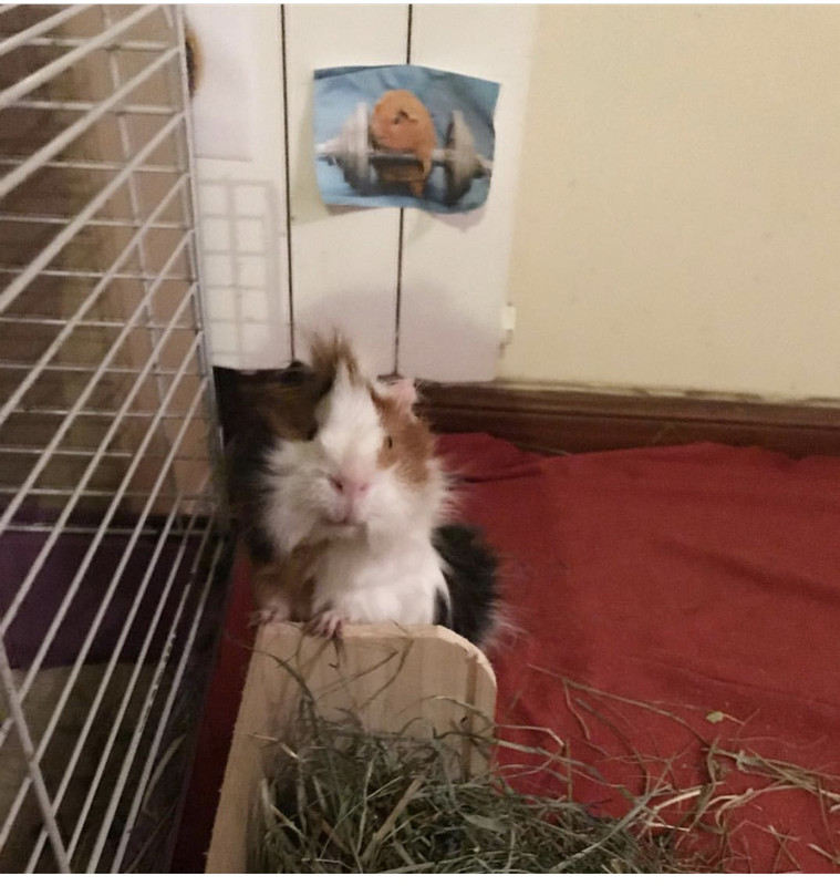 716FFA3C-08A5-4E99-AD67-E9AF31DDF113