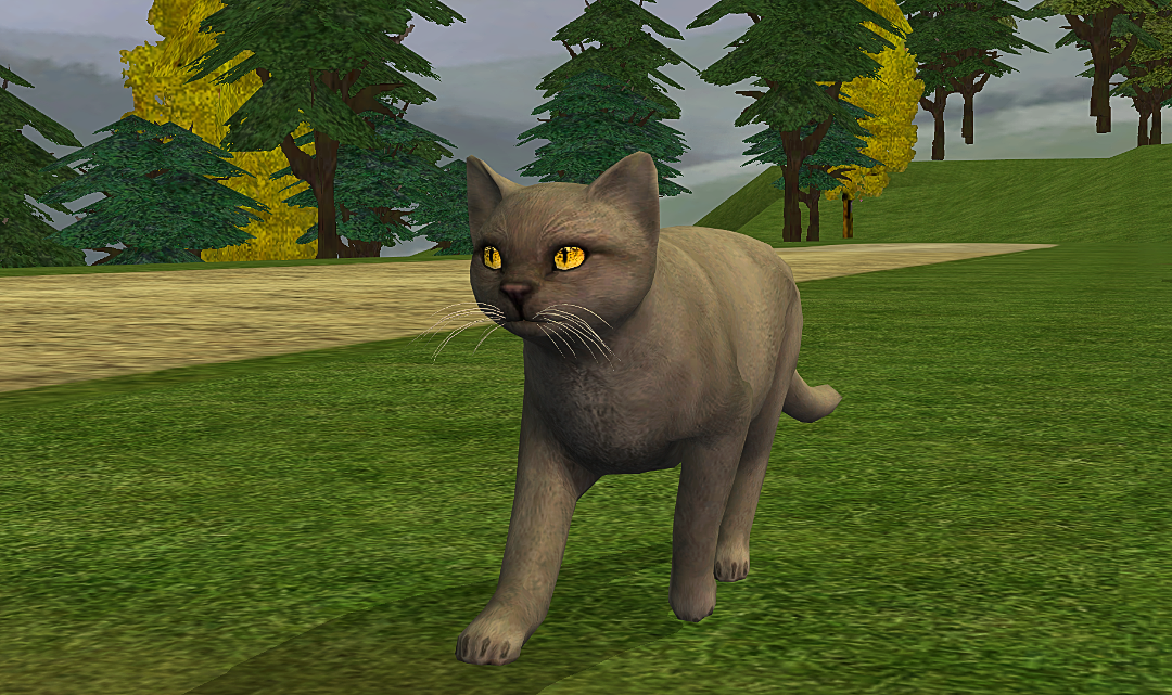 screenshot-2026-08-06-21-01