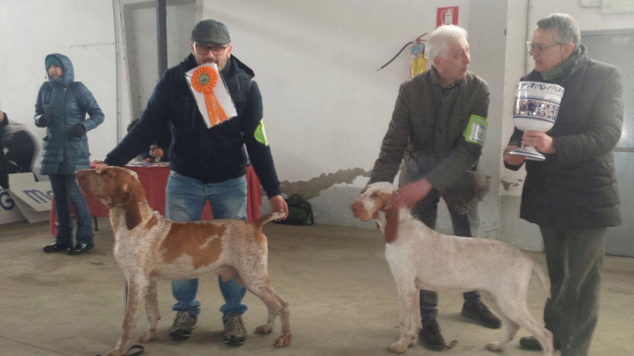 92dce363-fd91-470d-87d0-e6da1b4720f8