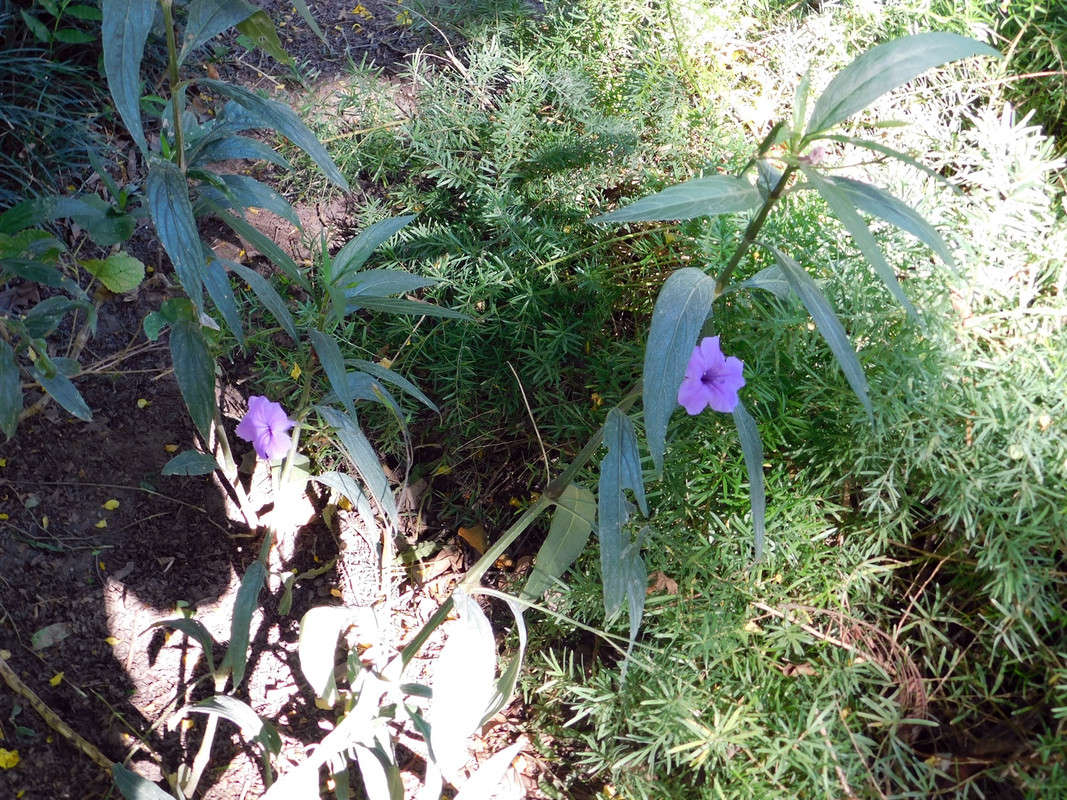 DSCN5657.jpg