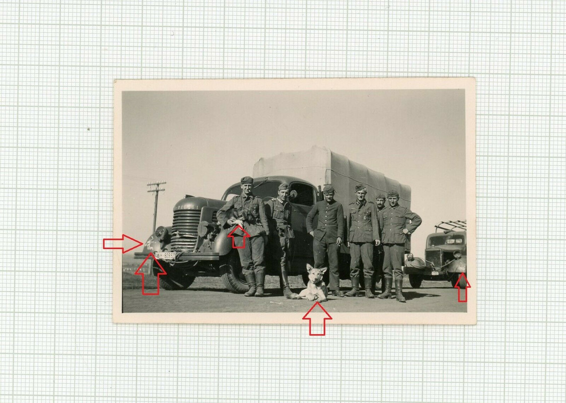 Foto LKW Wehrmacht mit taktischem Zeichen Gespenst  Kotflügel   Schäferhund