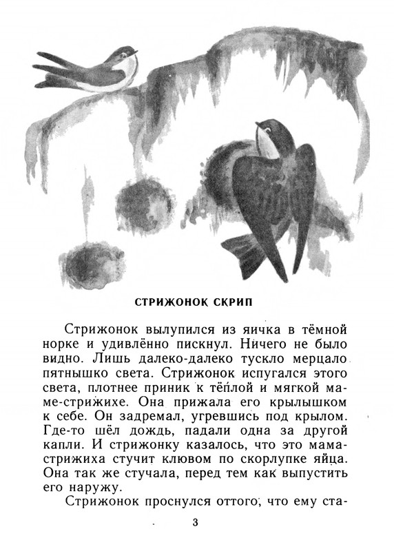 Стрижонок скрип астафьев аудио. Стрижонок скрип краткое содержание. Стрижонок скрип пословицы.