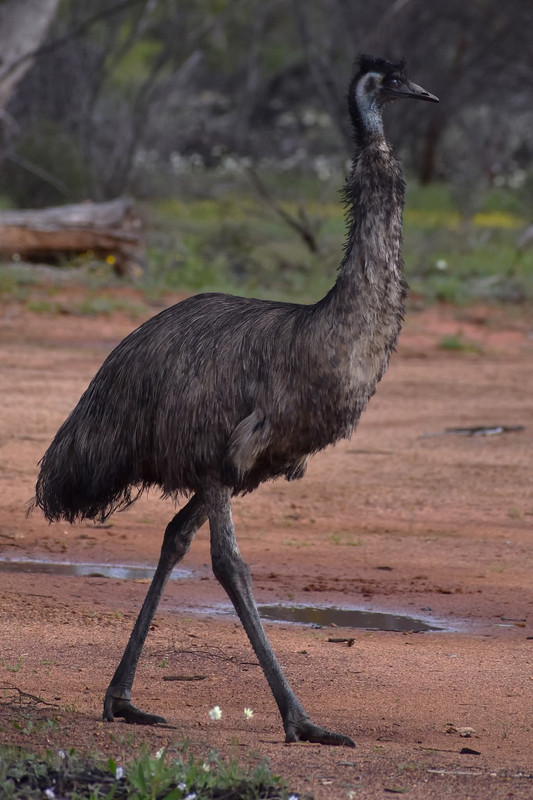 FB IMG 1767511837257