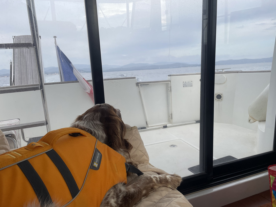 4F913D4E-F95E-4BB8-B4AB-FA7F715CE63B