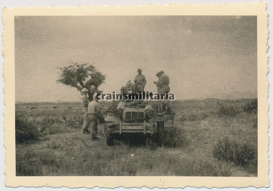 Orig. Foto SdKfz 10-5 Halbkette m. 2 cm Flak Geschütz auf Insel KOS Griechenland1