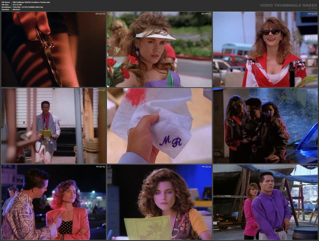 Silk Stalkings S02E02 Goodtime Charlie.mkv