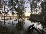 2022 (Jun) - Central (Nth) Qld Solo Trip(web) (136)