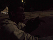 40.5.creatures of the night V (bright up)