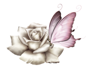 Winter-White-Elements-49