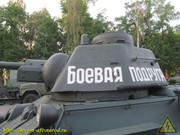 IMG-5548