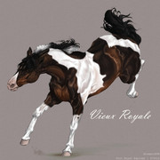 Letuchka4-20241222023732