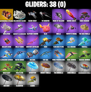 gliders-comp