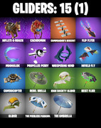 gliders-comp