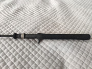 MVIMG_20210321_153425