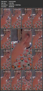 vid-(6)-MP4