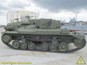 IMG-8398