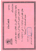 ICDL-1