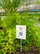 photo-20211123-iherbalgarden-016