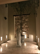 IMG-8545