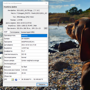 Screenshot-2021-10-05-01-15-53