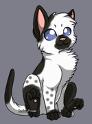 2023_10_12_0u8_Kleki