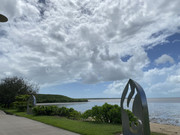 IMG-6377