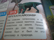 https://i.postimg.cc/N2j1hjWw/100-8116.jpg