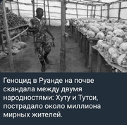 https://i.postimg.cc/N2s08Gz8/photo-2026-07-14-06-11-06.jpg