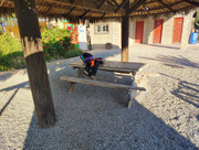 IMG 20251108 074554346 HDR AE