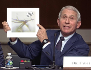 38f98c1d0bddb979527eade6aed3f04049cab26af38a3718ae728bd3606644e6