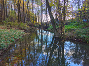 PXL_20211024_143440242