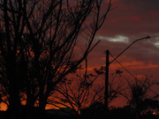 50.4.oncoming evening IV