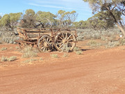 2021 Boys Googs Tk & Off-Track Desert Trip (206)