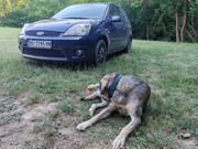 Slika