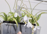 D8F55F2C-0806-4D18-8204-A12DE101A39D