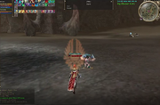 1g.png