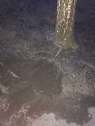 photo_2023-03-23_18-28-45