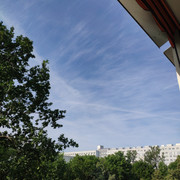 IMG_20210807_092454_1